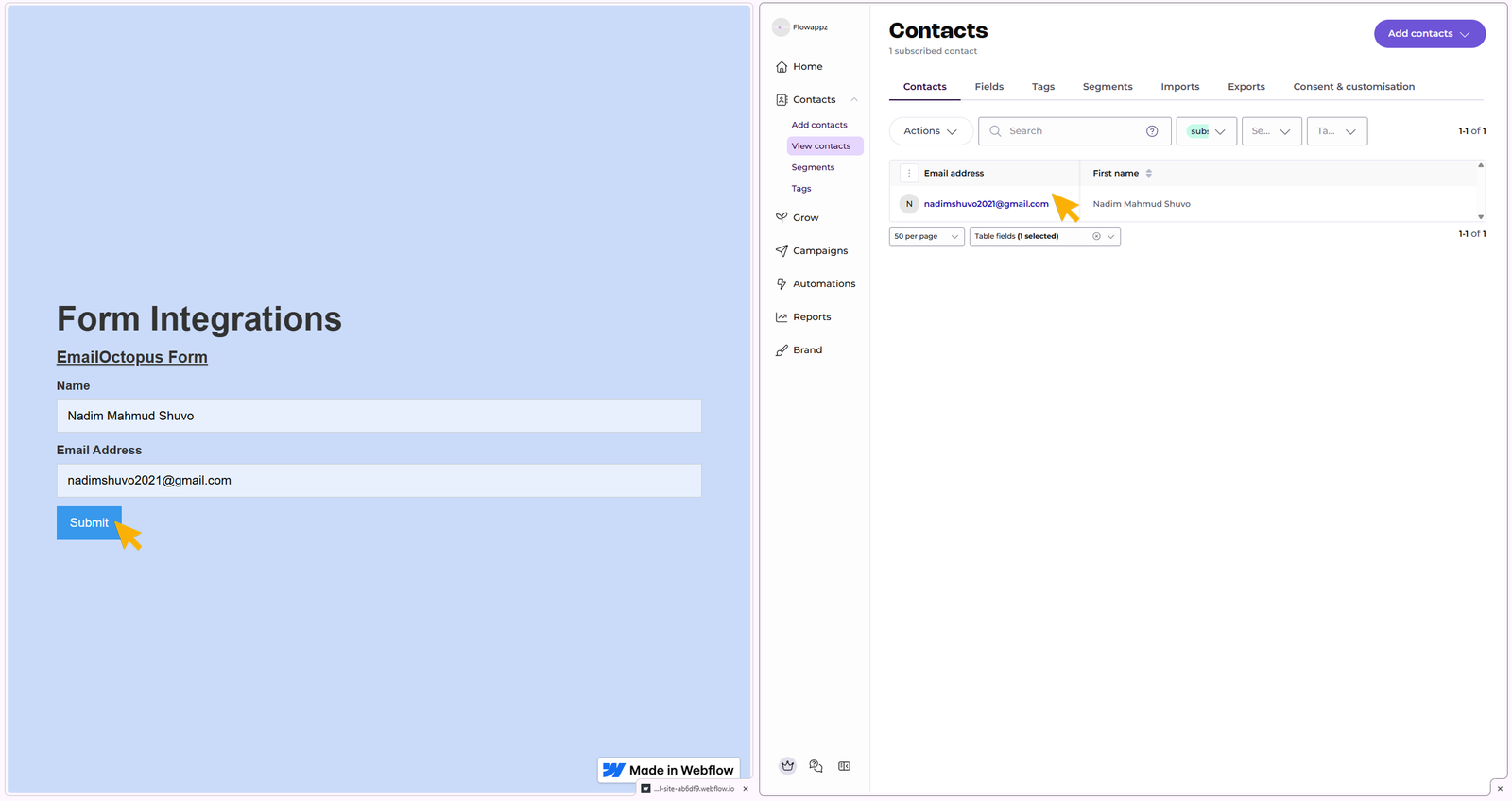 Showing data transfer from webflow published site to EmailOctopus Contacts
