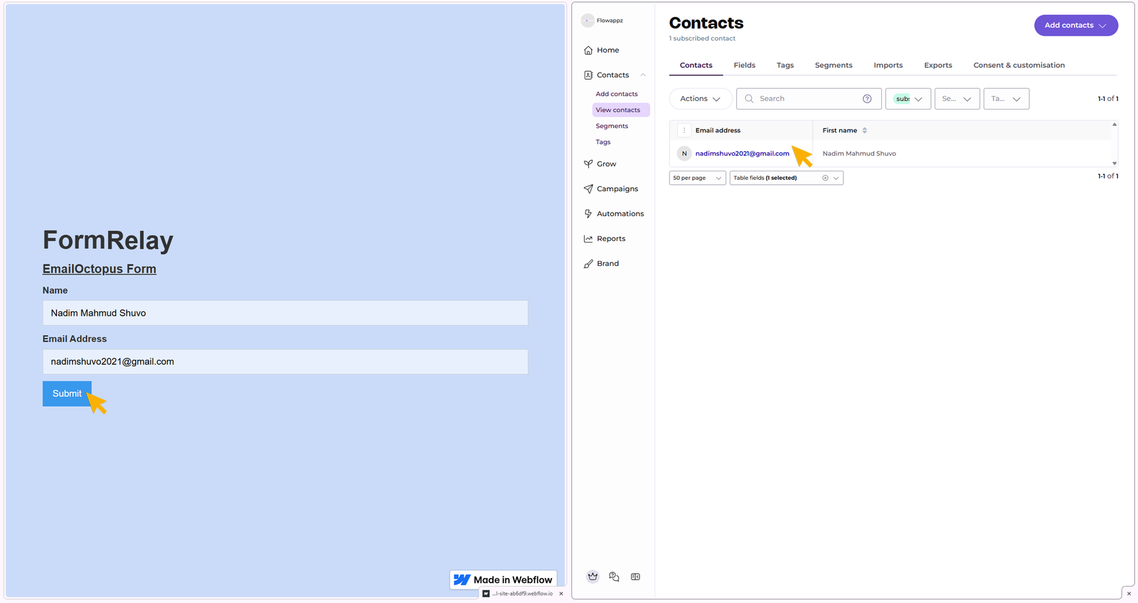 Showing data transfer from webflow published site to EmailOctopus Contacts
