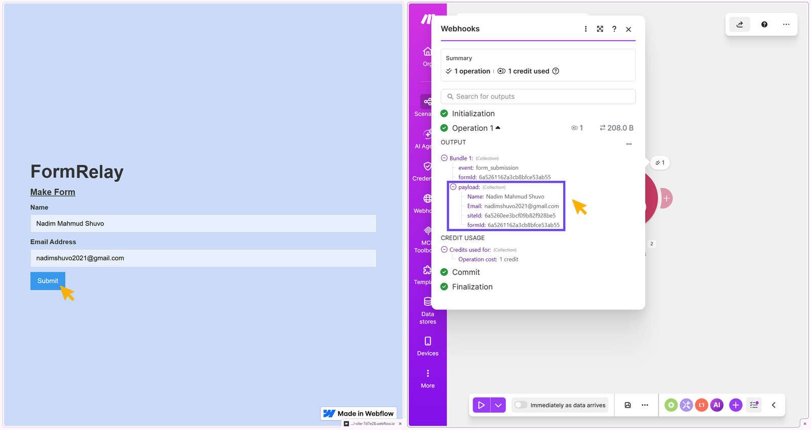 Showing data transfer from webflow published site to Webhook Dashboard